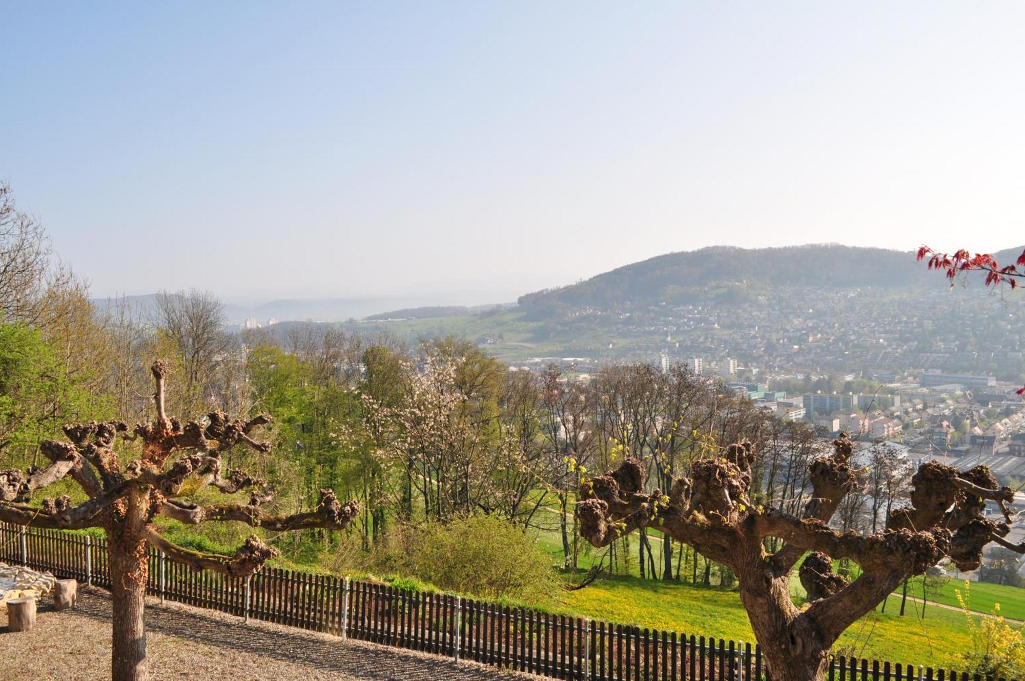 Bienenberg - Das Genusshotel Im Gruenen - Liestal Exterior photo